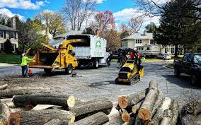 Mckinley, PA  Tree Services Company